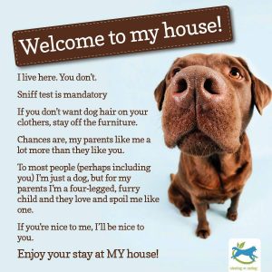 Welcome to My House, -The Dog