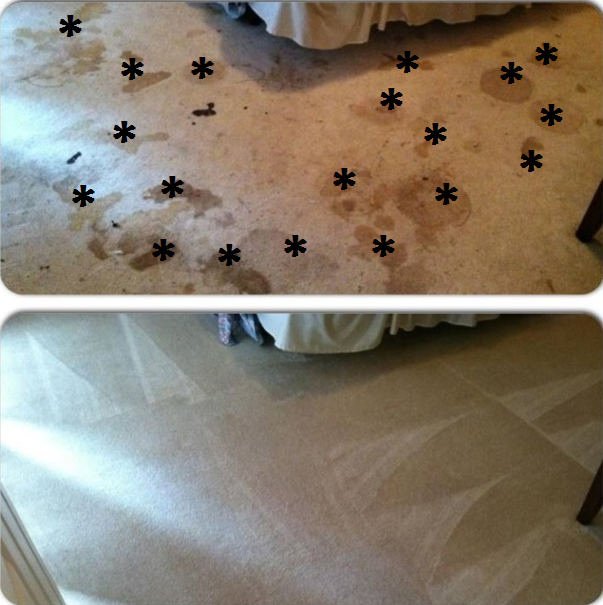 Soapy Carpet Spots