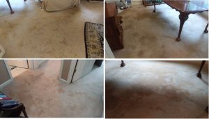 Carpet Cleaning Dacula